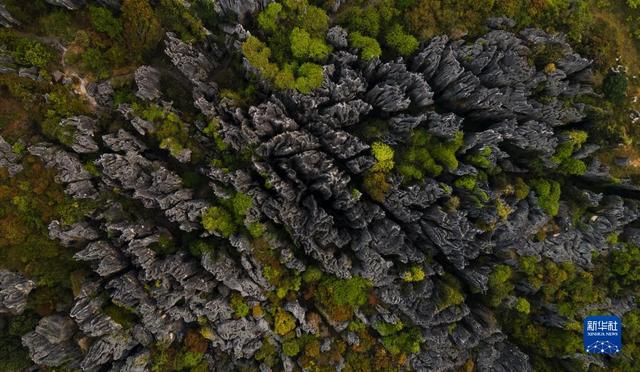 石林在云南的什么地方，云南石林风景区（天空之眼探秘云南石林）