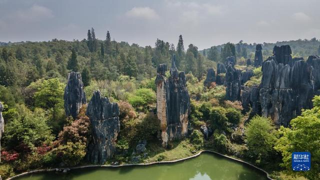 石林在雲南的什麼地方,雲南石林風景區(天空之眼探秘雲南石林)