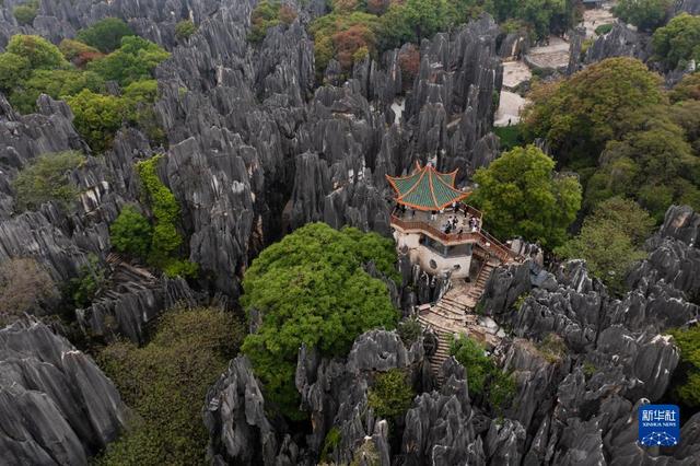 石林在云南的什么地方，云南石林风景区（天空之眼探秘云南石林）