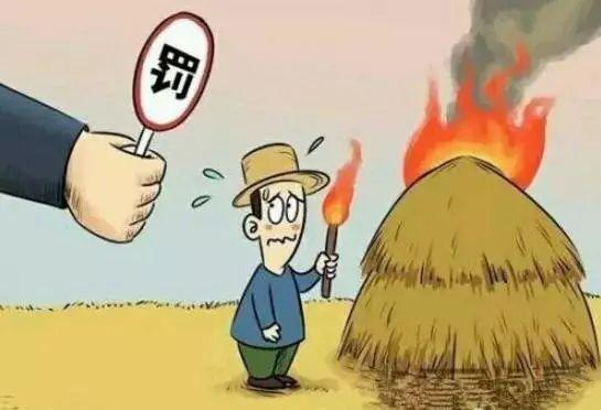 关于秸秆禁烧的宣传资料，关于秸秆禁烧这些你需要了解→