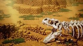 我功夫特牛组合技，我功夫特牛组合技介绍（Live》HD-2D重制版介绍）