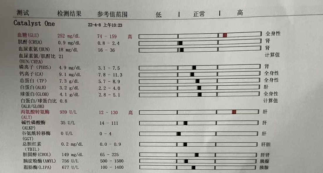 发育宝猫粮多少钱 发育宝成猫粮