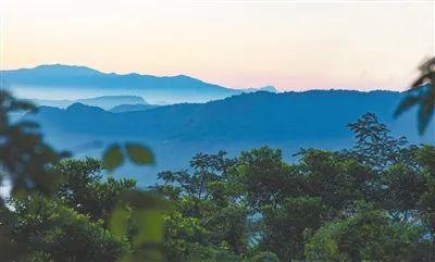 猿是怎么叫的，猿是怎么叫的一个字（连续三年实现种群数量增长）