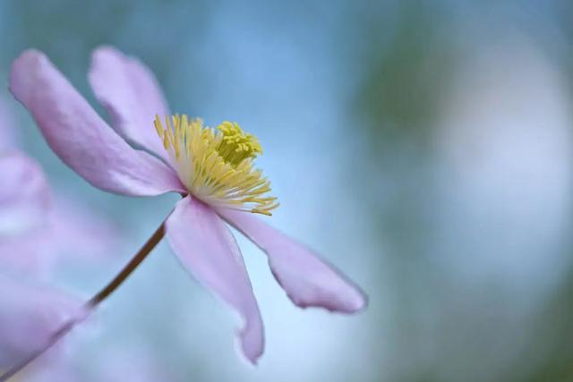 春天自然风景图片，春天的景色（35张美丽的春天图片）
