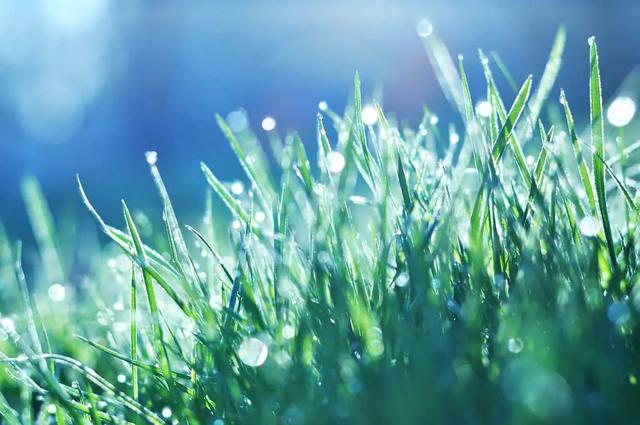 春天自然风景图片，春天的景色（35张美丽的春天图片）