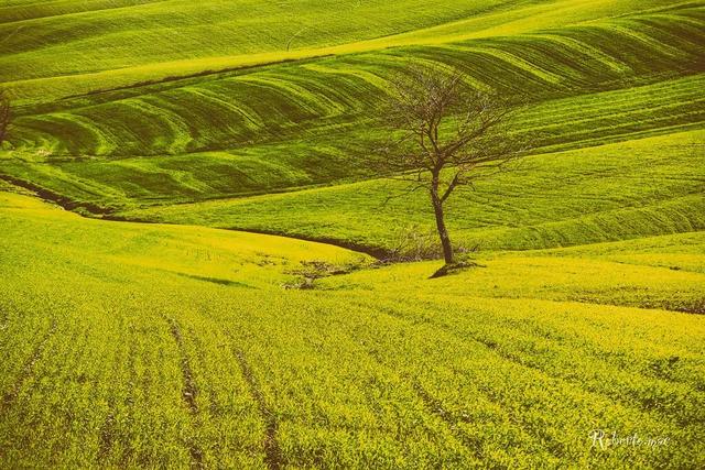 春天自然风景图片，春天的景色（35张美丽的春天图片）
