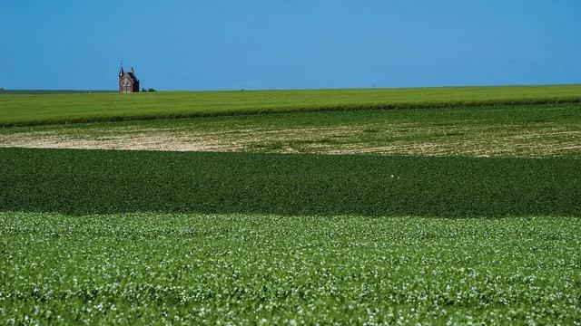 春天自然风景图片，春天的景色（35张美丽的春天图片）