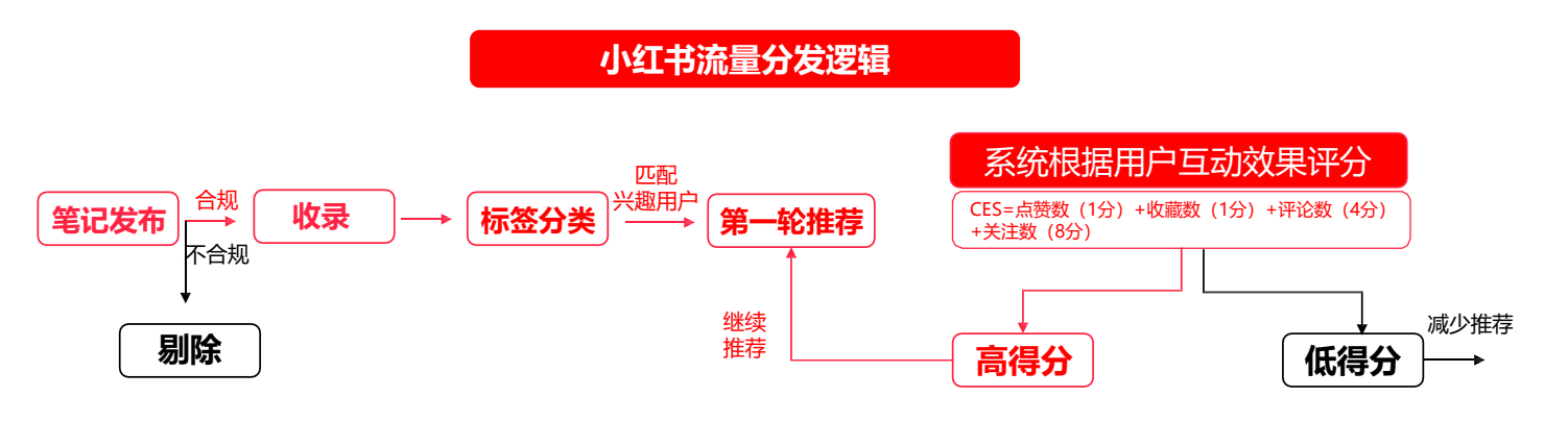 小红书登录(小红书免登录入口)