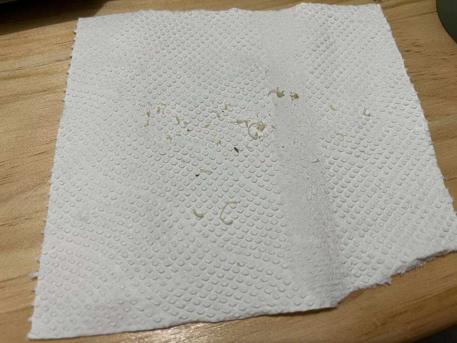 小米手环解绑(小米手环不解绑怎么重新绑定)