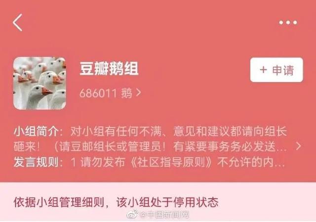 豆瓣鹅组 电脑版，豆瓣鹅组 跨年电影（豆瓣关停“鹅组”）