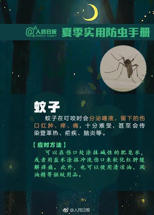 隐翅虫咬人后图片，隐翅虫咬后最有效的处理方法（这种虫子，毒液堪比硫酸）