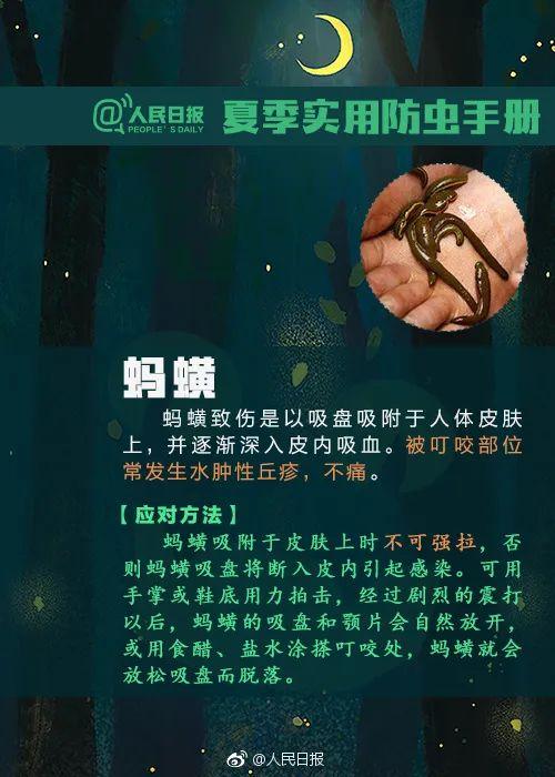 隐翅虫咬人后图片，隐翅虫咬后最有效的处理方法（这种虫子，毒液堪比硫酸）