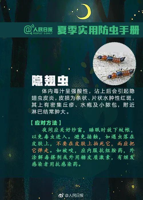 隐翅虫咬人后图片，隐翅虫咬后最有效的处理方法（这种虫子，毒液堪比硫酸）