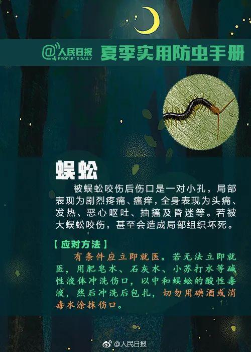 隐翅虫咬人后图片，隐翅虫咬后最有效的处理方法（这种虫子，毒液堪比硫酸）