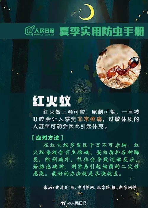 隐翅虫咬人后图片，隐翅虫咬后最有效的处理方法（这种虫子，毒液堪比硫酸）