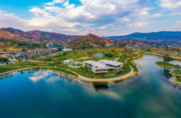 白鹭是几级保护动物，白鹭是几级保护动物能吃吗（白鹭蹁跹“落户”仁和）