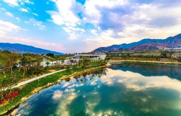 白鹭是几级保护动物，白鹭是几级保护动物能吃吗（白鹭蹁跹“落户”仁和）