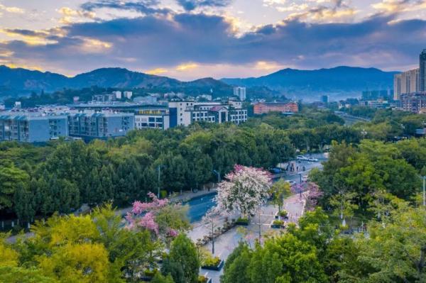 白鹭是几级保护动物，白鹭是几级保护动物能吃吗（白鹭蹁跹“落户”仁和）