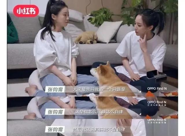 早抖，早抖在粤语里是什么意思（抖快和小红书做短综艺）