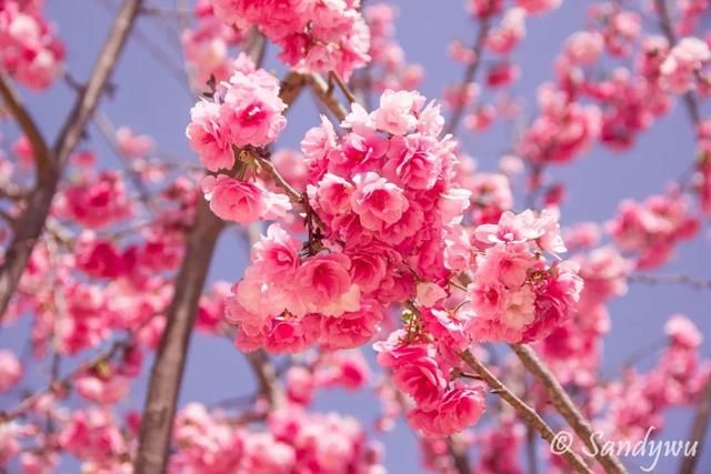 春城是哪个城市，山城是哪个城市（昆明，特大城市）