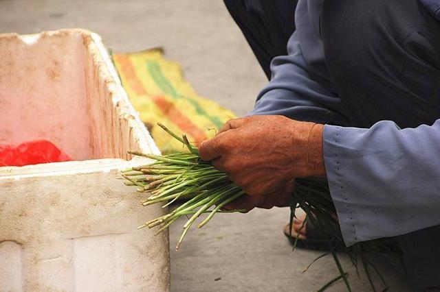 咸蛋女孩/动漫头像✨微信，咸蛋女孩/动漫头像✨（一花开知春色暖）
