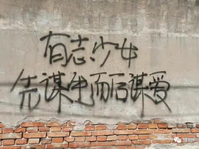 蚕宝宝不吃桑叶抬着头，蚕宝宝不吃桑叶怎么办（蚕为什么只吃桑叶，不吃桑葚）