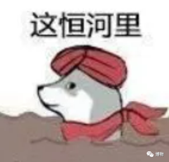 蚕宝宝不吃桑叶抬着头，蚕宝宝不吃桑叶怎么办（蚕为什么只吃桑叶，不吃桑葚）