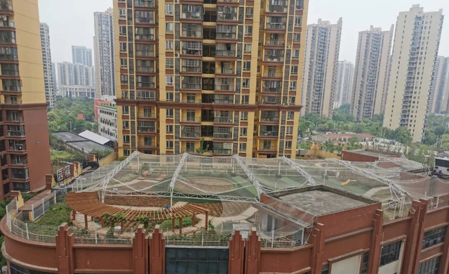 养一只两只孔雀需要什么证，孔雀在家养两只犯法吗（“饲养野生动物需办证”）