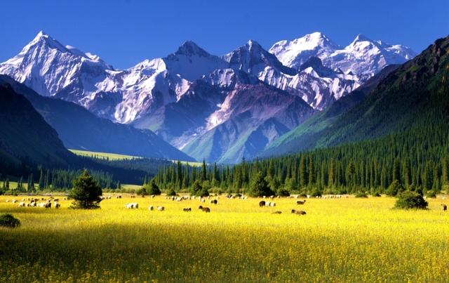 乌鲁木齐什么时候建机场，4月22日新疆首个高原机场正式通航