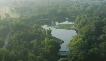 18厘米是几寸，18寸项链是多少厘米（一份有关国家植物园的“植”识点）