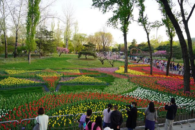 18厘米是几寸，18寸项链是多少厘米（一份有关国家植物园的“植”识点）