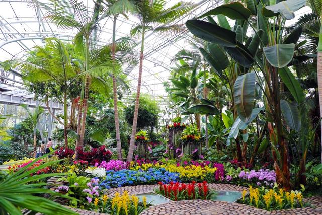 18厘米是几寸，18寸项链是多少厘米（一份有关国家植物园的“植”识点）