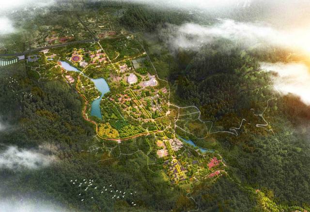 18厘米是几寸，18寸项链是多少厘米（一份有关国家植物园的“植”识点）