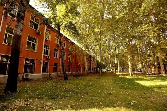 郑州大学学科评估，郑州大学重点学科名单有哪些及学科排名（这个高考大省唯一与985并列的高校）