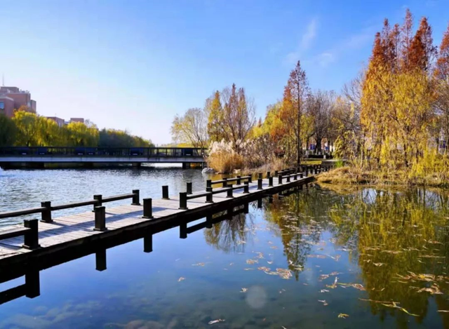 郑州大学学科评估，郑州大学重点学科名单有哪些及学科排名（这个高考大省唯一与985并列的高校）