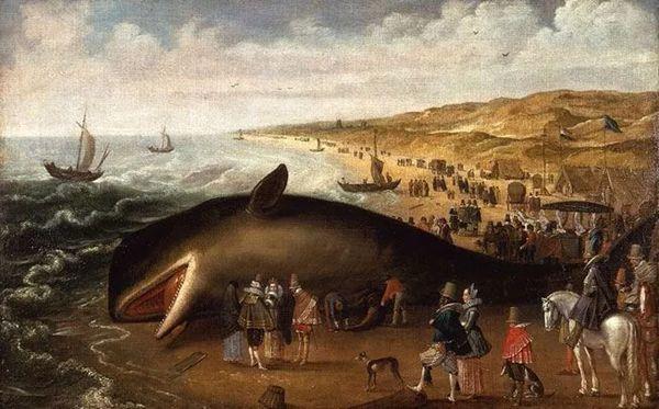 为什么说海洋的污染几乎都是人类造成的，为什么说海洋的污染几乎都是人类造成的危害（人类能为它们做些什么……）