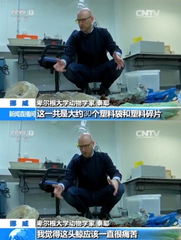 为什么说海洋的污染几乎都是人类造成的，为什么说海洋的污染几乎都是人类造成的危害（人类能为它们做些什么……）