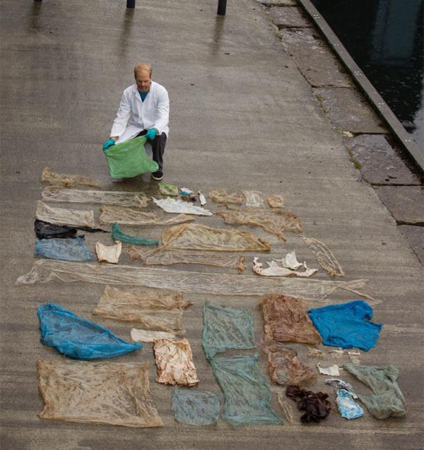 为什么说海洋的污染几乎都是人类造成的，为什么说海洋的污染几乎都是人类造成的危害（人类能为它们做些什么……）