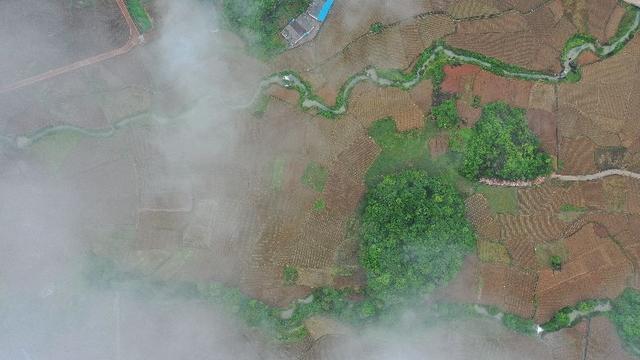 云雾缭绕的意思，朝辞白帝彩云间千里江陵一日还的意思（云雾缭绕）