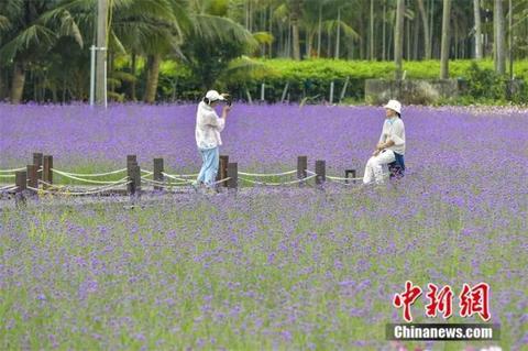 博鳌在哪里，亚洲博鳌在哪里（人这一辈子，一定要去一趟博鳌）