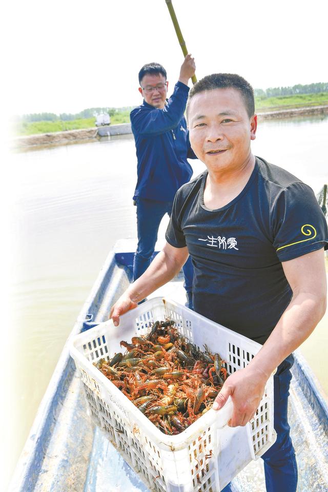 小龙虾上市时间，小龙虾几月份上市（小龙虾下月大量上市）