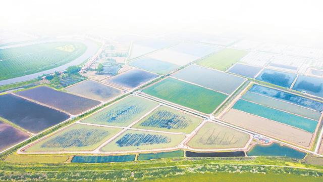 小龙虾上市时间，小龙虾几月份上市（小龙虾下月大量上市）