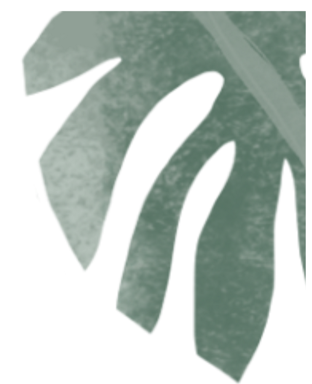 绿山墙的安妮简介，巜绿山墙的安妮作者简介150（我们一起读加拿大作家蒙哥玛利的长篇小说《绿山墙的安妮》）