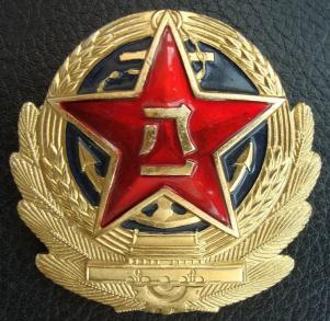 克组词组词，巧组词有哪些词语（人民海军三大形象标志）