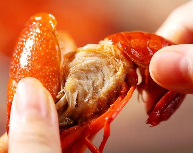 小龙虾不可以和什么东西一起吃，小龙虾和哪些食物相克（小龙虾怎么吃才健康）