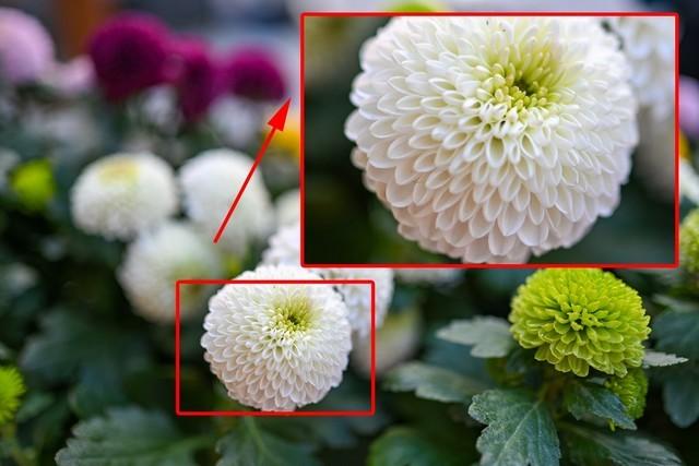 分辨率越高越好吗，显示器的分辨率越高越好吗（高像素相机有什么优势和劣势）