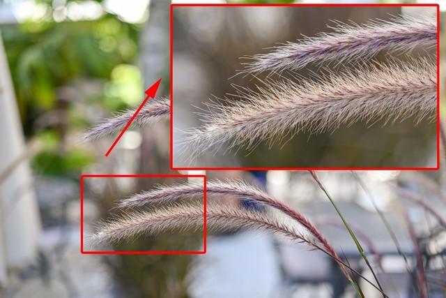 分辨率越高越好吗，显示器的分辨率越高越好吗（高像素相机有什么优势和劣势）