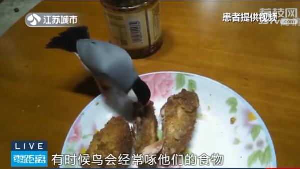 养鹦鹉对人的巨大危害，长期养鹦鹉的危害（发烧11天、听力下降、肾功能异常……病因竟是一只鸟）