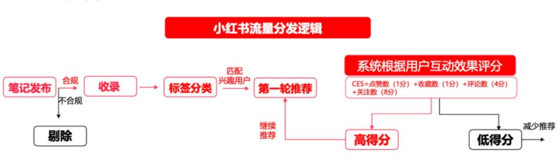 小红书品类分析怎么写，小红书的市场细分