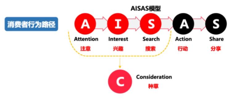 小红书品类分析怎么写，小红书的市场细分